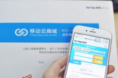 惠州社區(qū)生鮮團(tuán)購(gòu)要怎么盈利?試試這幾種做法